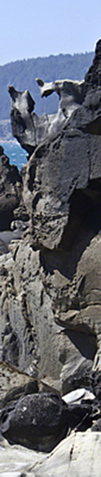 Gallery 2
